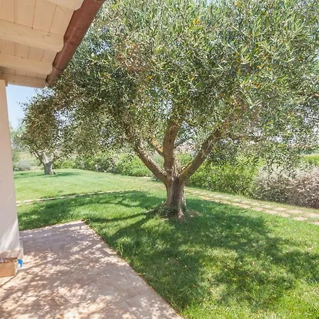 Agriturismo Il Mirto Pescia Romana Zimmer foto