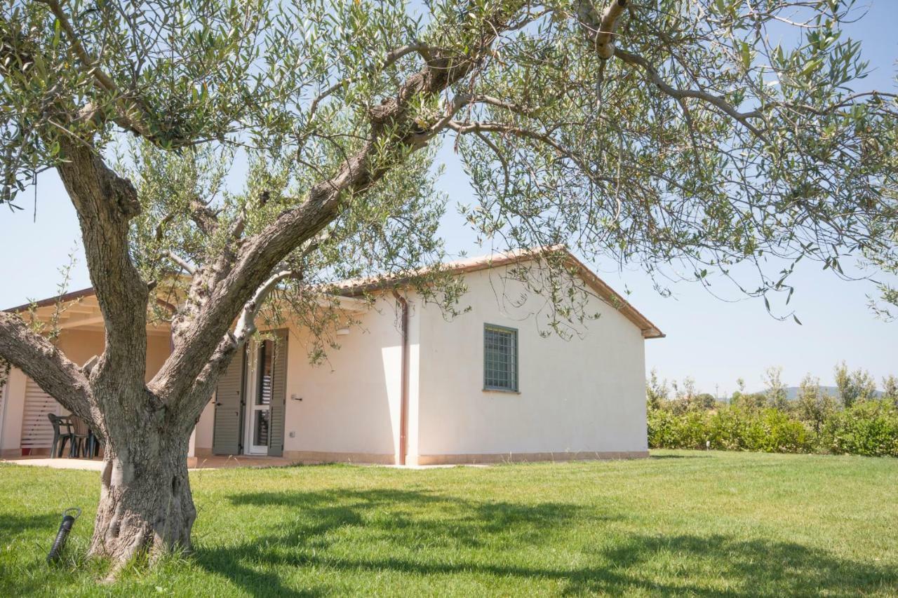 Appartement Il Mirto Pescia Romana